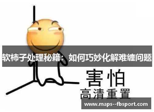 软柿子处理秘籍:如何巧妙化解难缠问题